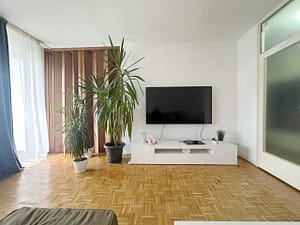 Prodaja stanova Blok 63 dnevni boravak tv zid scaled