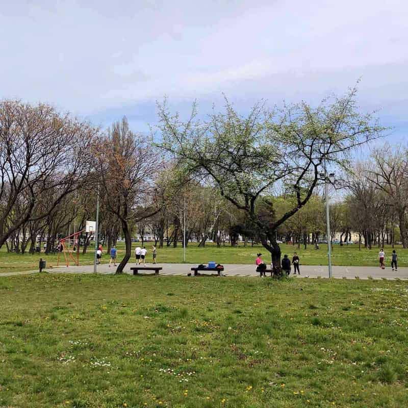 Park Ušće