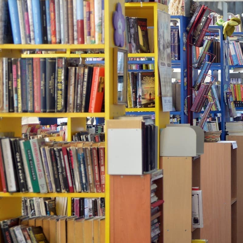 Biblioteka laza kostić